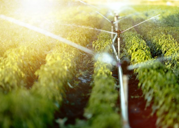 Water Resource & Irrigation Engineering 02