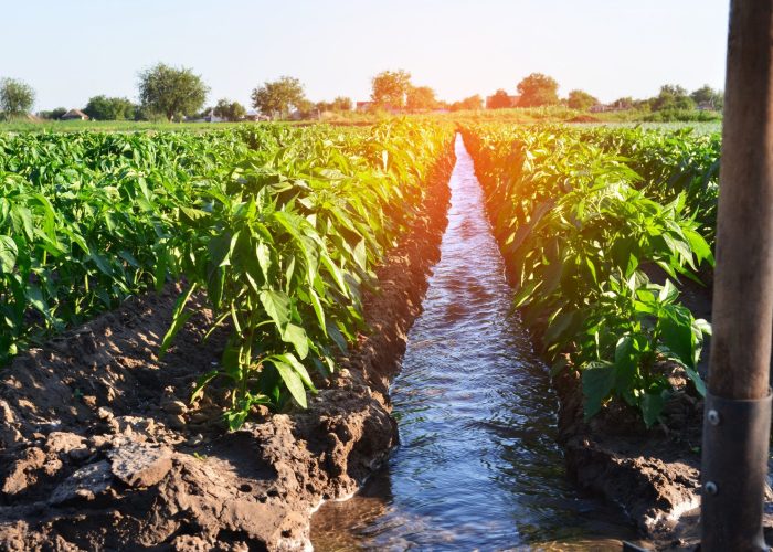 Water Resource & Irrigation Engineering 04